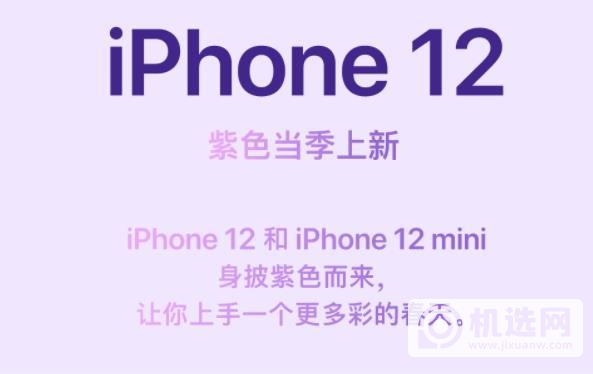 紫色iPhone12好看么-外观图赏