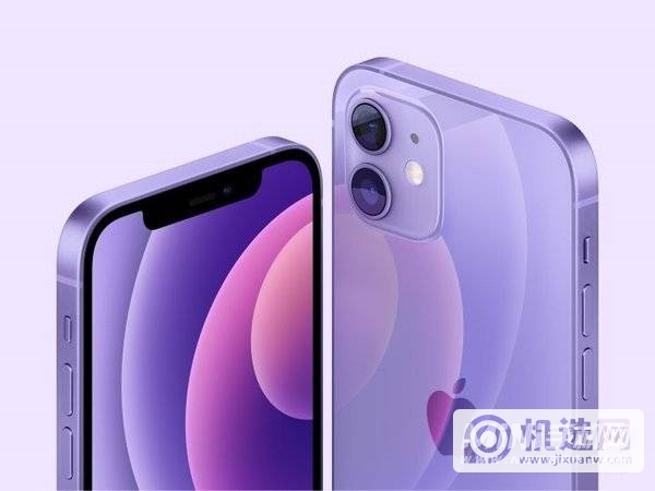 iphone12紫色和11紫色区别对比-哪个更值得入手