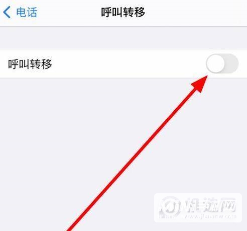 iphone12怎么设置来电转移-呼叫转移设置方式