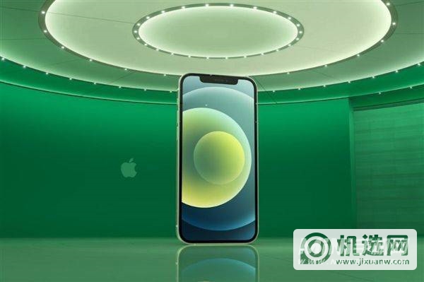 iphone12绿屏怎么检测-iphone12绿屏检测方法