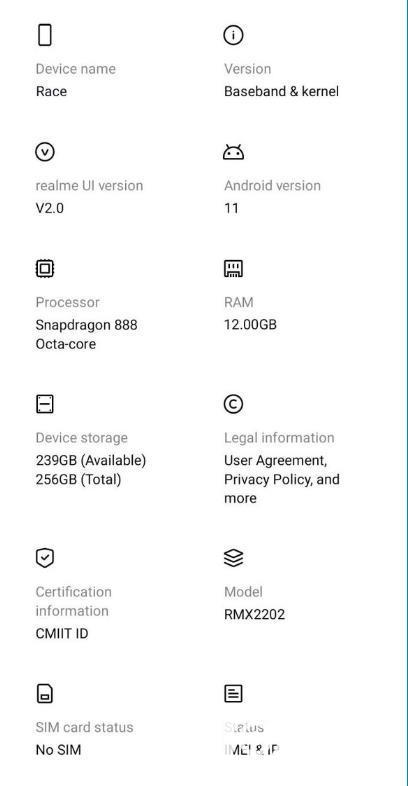 realme真我Race参数配置-参数详情