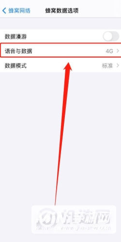 iphone12怎么设置5G网络-在哪里设置