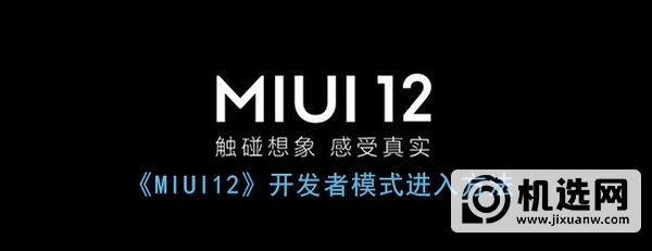 miui12开发者选项在哪-怎么进入开发者模式