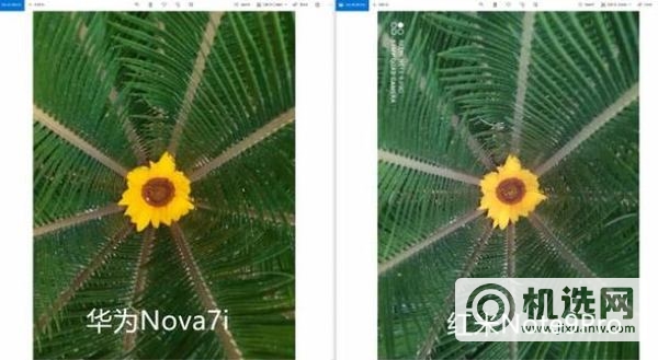 华为Nova7i和红米Note9Pro哪个拍照好-拍照性能测评