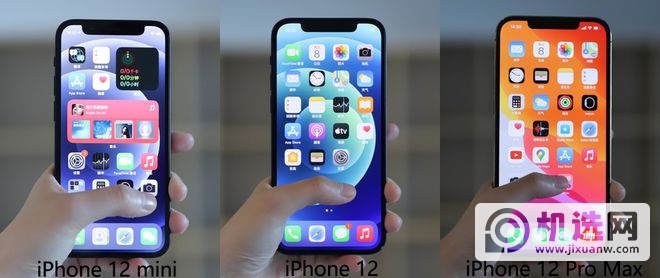 三个尺寸的iPhone 12系列单手握持对比