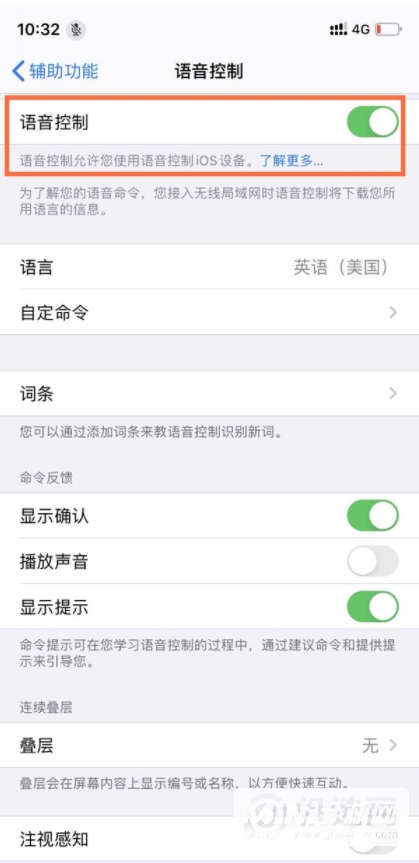 iPhone12怎么开启语音控制-如何开启语音控制