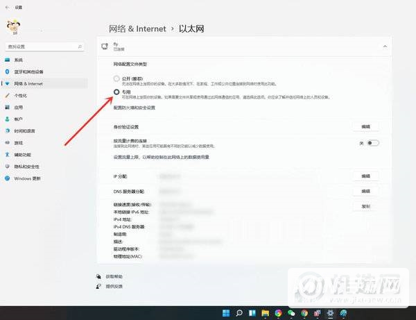 win11公用网络怎么换成专用-网络怎么切换属性