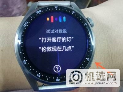 华为watch3怎样呼叫语音助手?华为watch3呼叫语音助手方法介绍截图