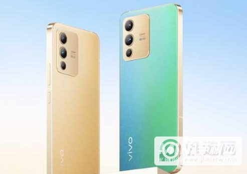 vivos12和荣耀60建议买哪个-哪款性价比更高