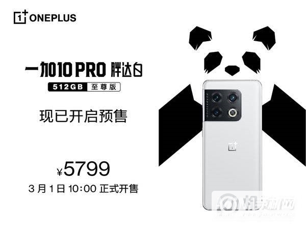 一加 10 Pro 胖达白