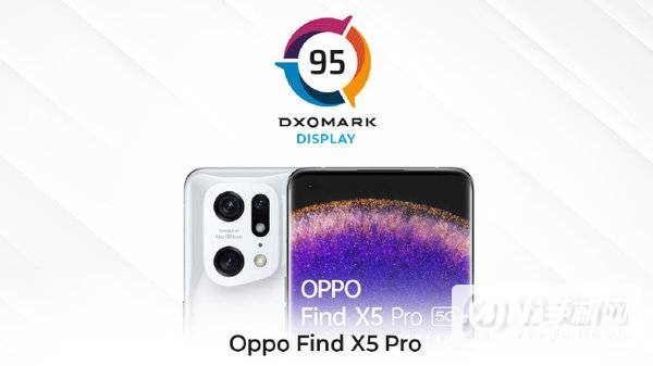 OPPO Find X5 Pro 屏幕得分